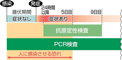 kougenpcr.png