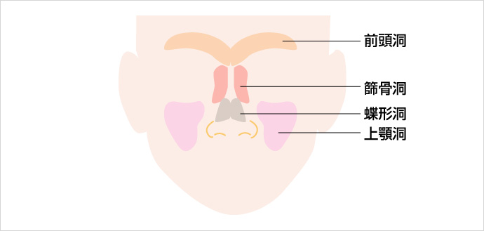 副鼻腔炎