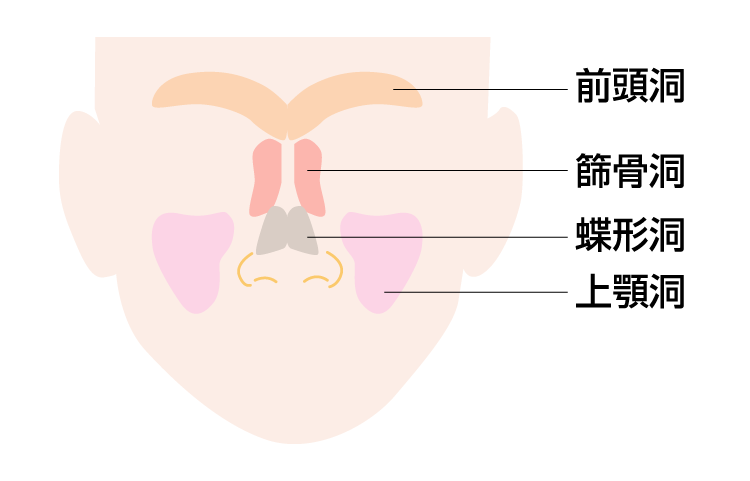 副鼻腔炎