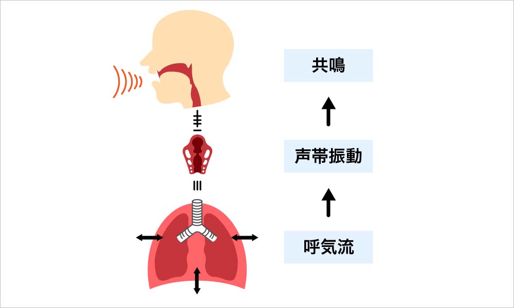 声の出る仕組み