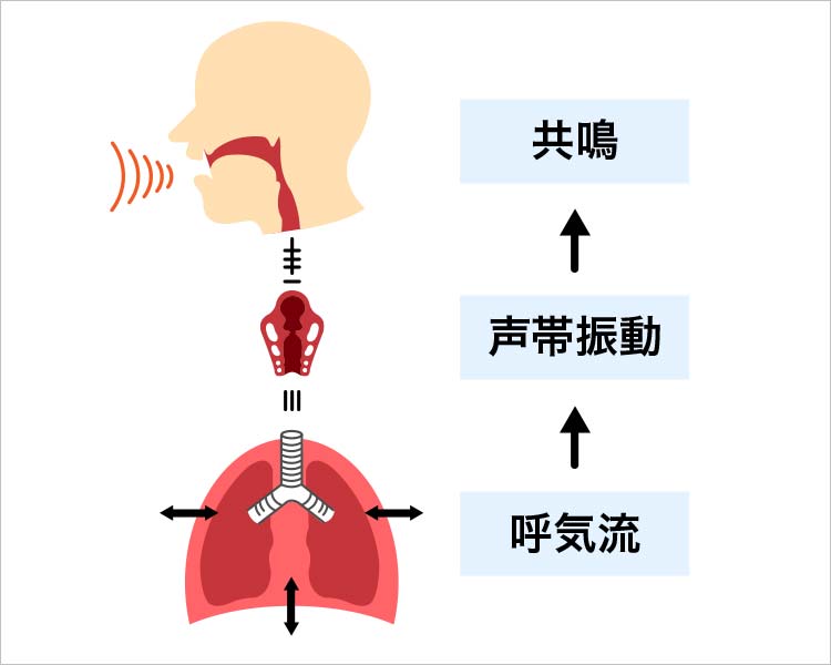 声の出る仕組み