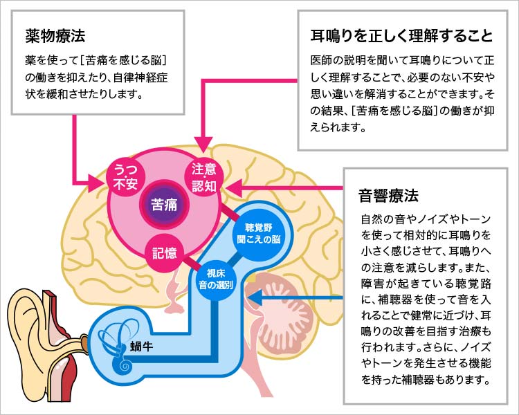 難聴と耳鳴りの発生