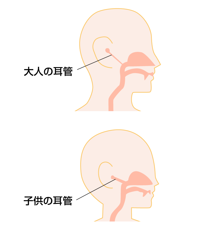 大人の耳子どもの耳